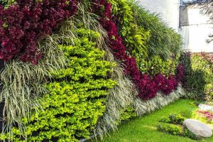 Especialistas en jardines verticales1